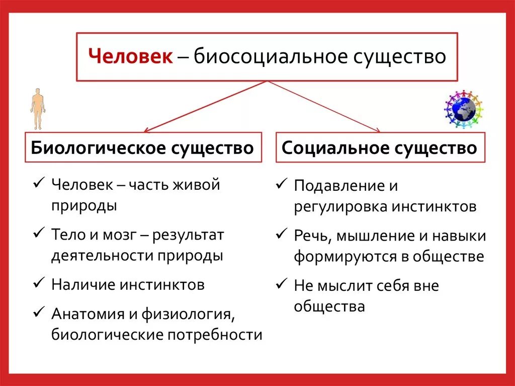 Что можно отнести к биологическим. Человек биосоциальное существо схема. Человек биосоциальное существо Обществознание. Яелоаеу биосойиальнте сущкство. Био и соц в человеке.