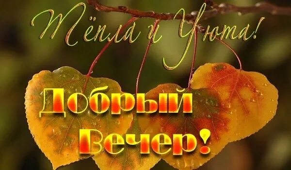 Красивые поздравления с добрым вечером. Добрый вечер 1 ноября. Доброго осеннего вечера. Добрый вечер последний день осени. Чудесного вечера осени.