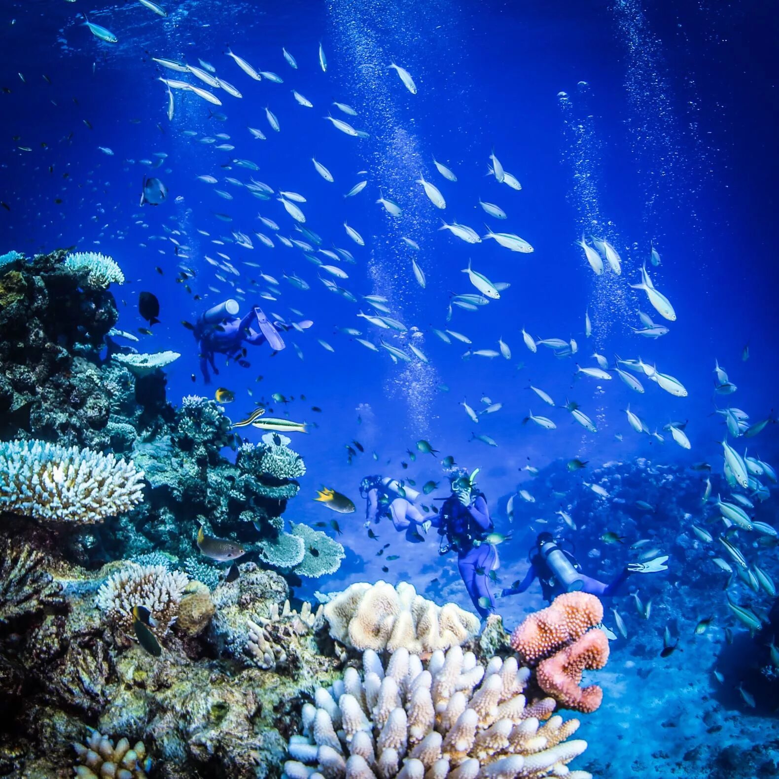 Great coral reef. Большой Барьерный риф. Великий Барьерный риф Австралия. Большой Барьерный риф (the great Barrier Reef). Коралловый риф в Австралии.