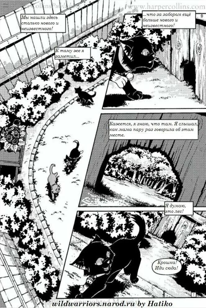 Коты воители книга восстание бича. Коты воители книга восстание бича. Путь к власти манга. Коты воители бич путь к власти. Коты воители манга бич путь к власти.