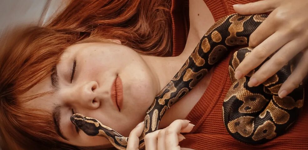 Искусали змеи во сне к чему. Укусила змея во сне к чему снится. Кусающие змеи во сне женщине.
