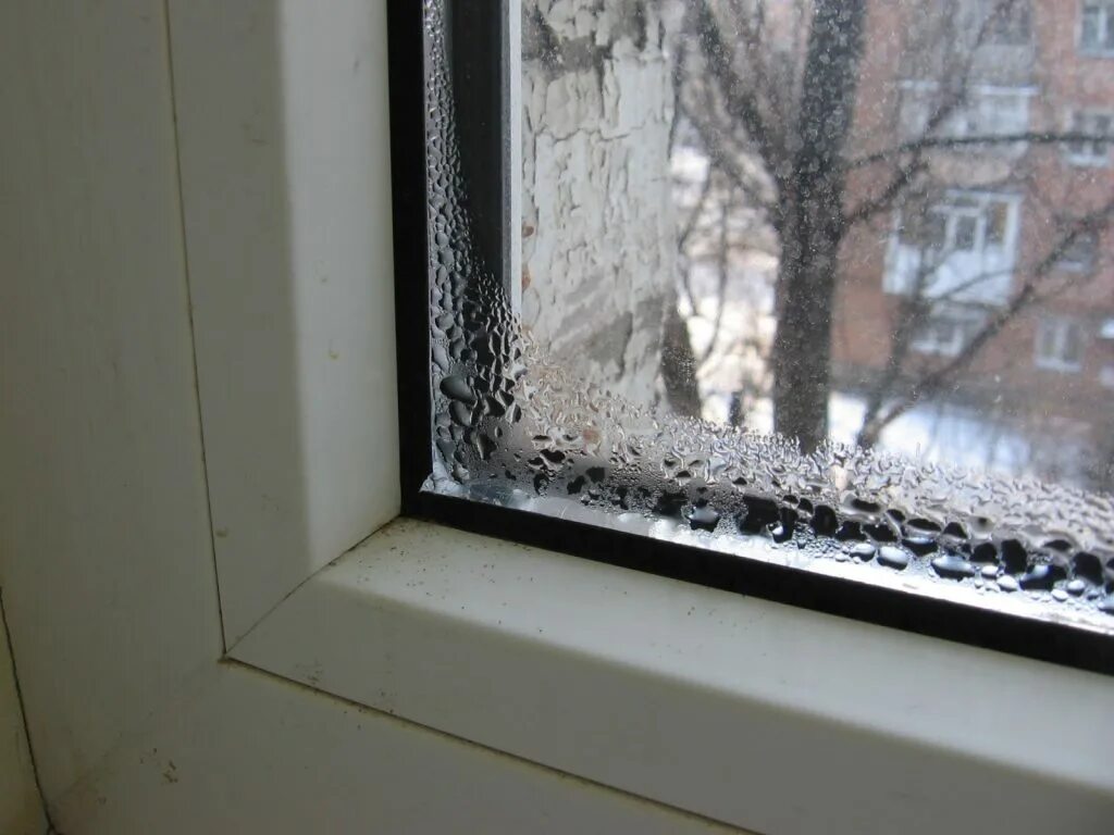 На пластиковых окнах образуется. На пластиковых окнах образуется
