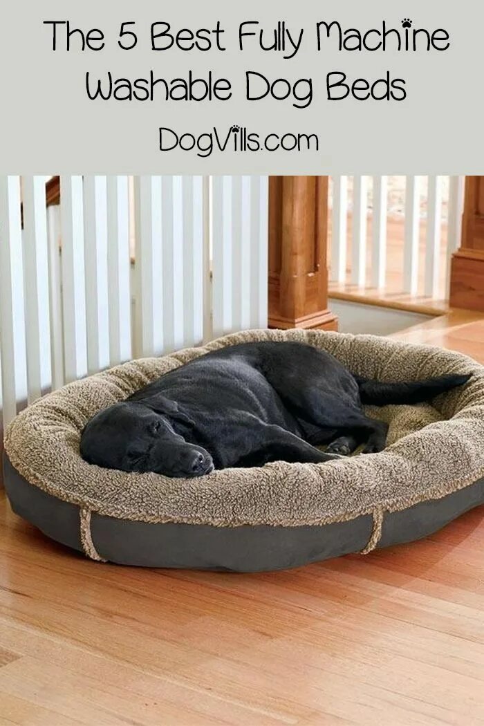 Лежанка для крупных пород. Лежак для собак. Кровать для крупных собак. Лежак для большой собаки. Собачья лежанка.