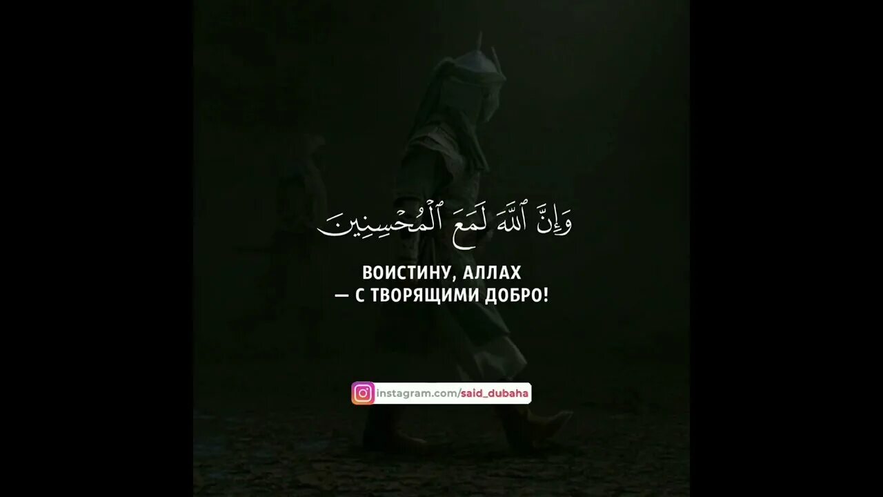 Аят паук. Сура анкабут. Паук аят 41. Сура 29 паук аят 64. Сура паук.