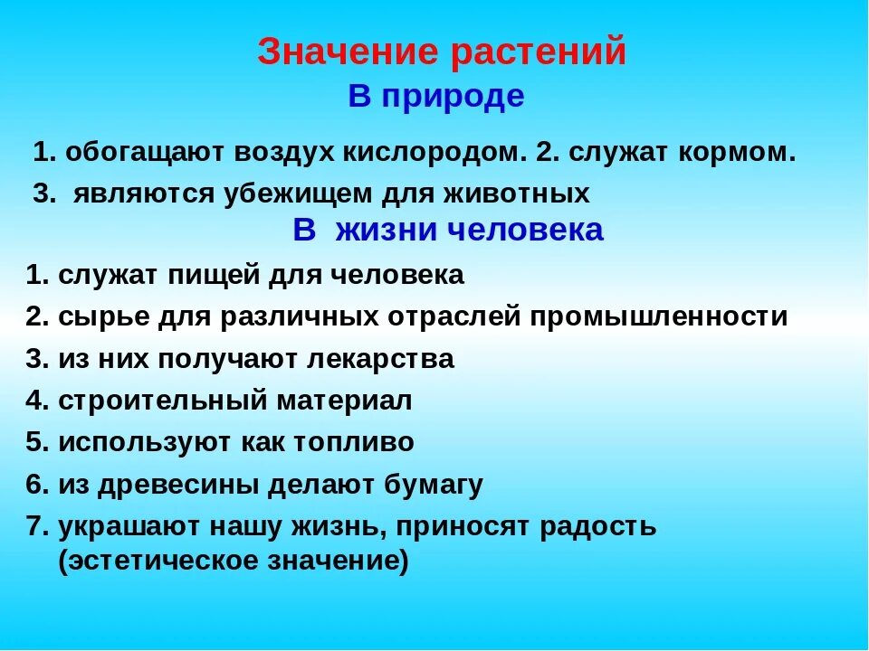 Какое значение растений в природе кратко