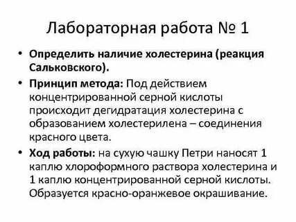 Лабораторная работа реакция