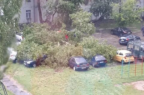Бури в череповце