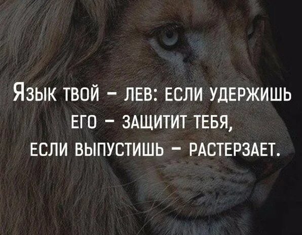 Твой язык это Лев. Язык твой враг твой. Твой Лев. Лев цитаты. Лев будет твоим