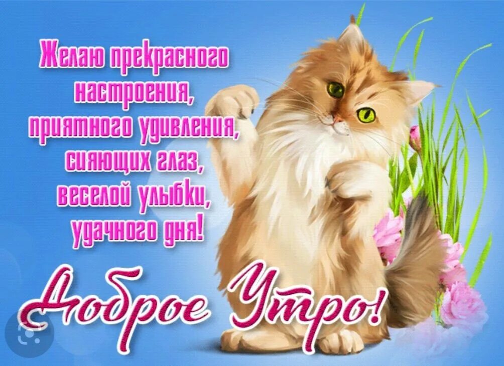 Красивые поздравления с добрым утром. С добрым утром картинки красивые. Удачного дня природа. Открытки с добрым. Поздравление с добрым утром на ватсап.