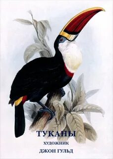 Тукан книга