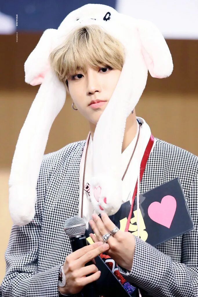 Хан джисон. Хан джисон из stray kids. Хан джи сон stray kids. День рождения хан джисона из стрей кидс. Джисон stray kids.