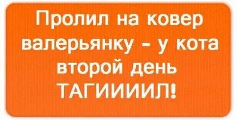 Оставите на завтра