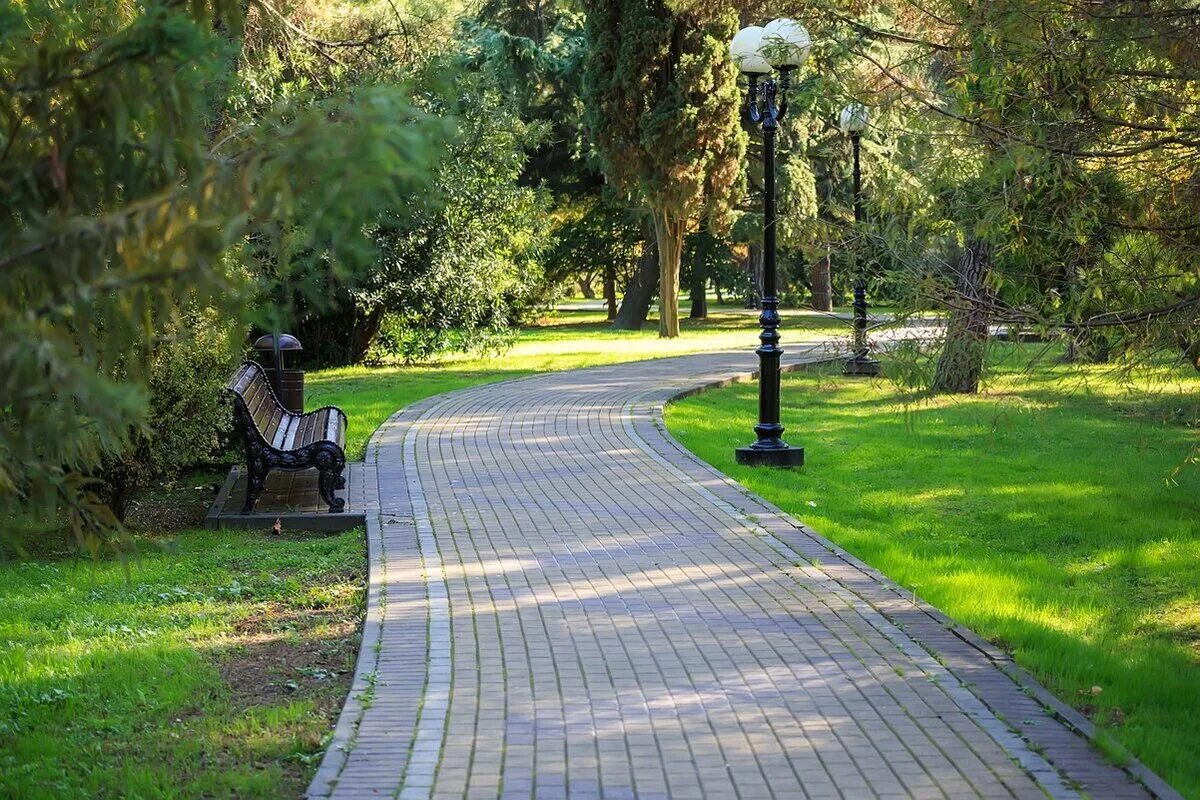 V s park
