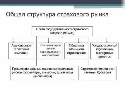 Орган государственного страхования
