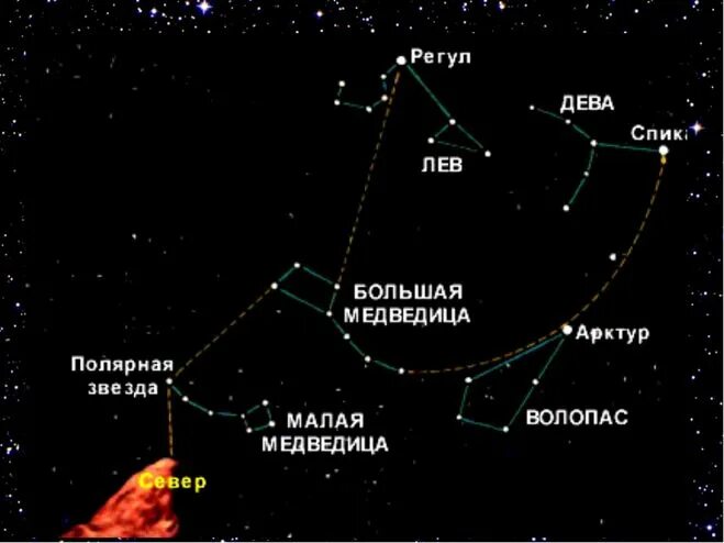 Можно ли с венеры разглядеть малую медведицу. Арктур звезда в созвездии Волопаса. Большая Медведица и Волопас. Волопас Созвездие схема. Яркая звезда в созвездии Волопас.