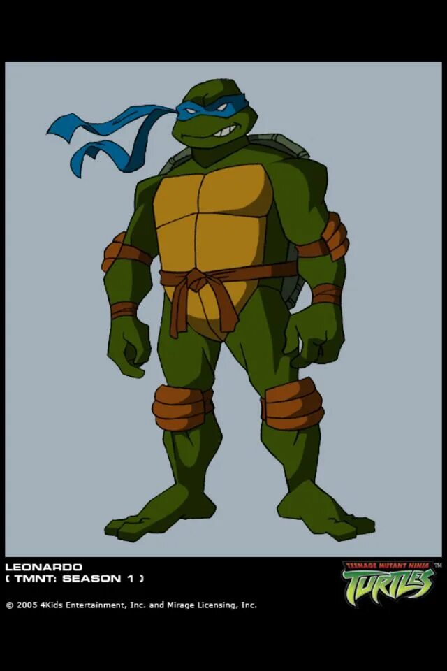 Новые черепашки ниндзя 2003 2009. TMNT 2003 Leonardo. Черепашки ниндзя 2003 Лео. Тмнт 2003 Леонардо. TMNT 2003 ниндзя трибунал..