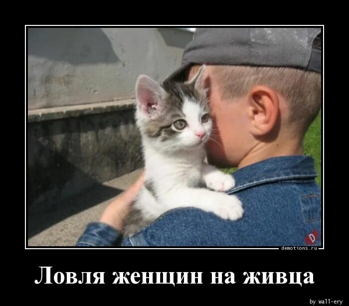 Давай лови. Открытка ага. Давай лови. Фотосессия лови момент. Скидки на садовые фигурки.