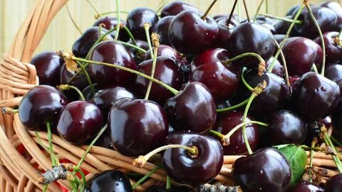 Black cherry