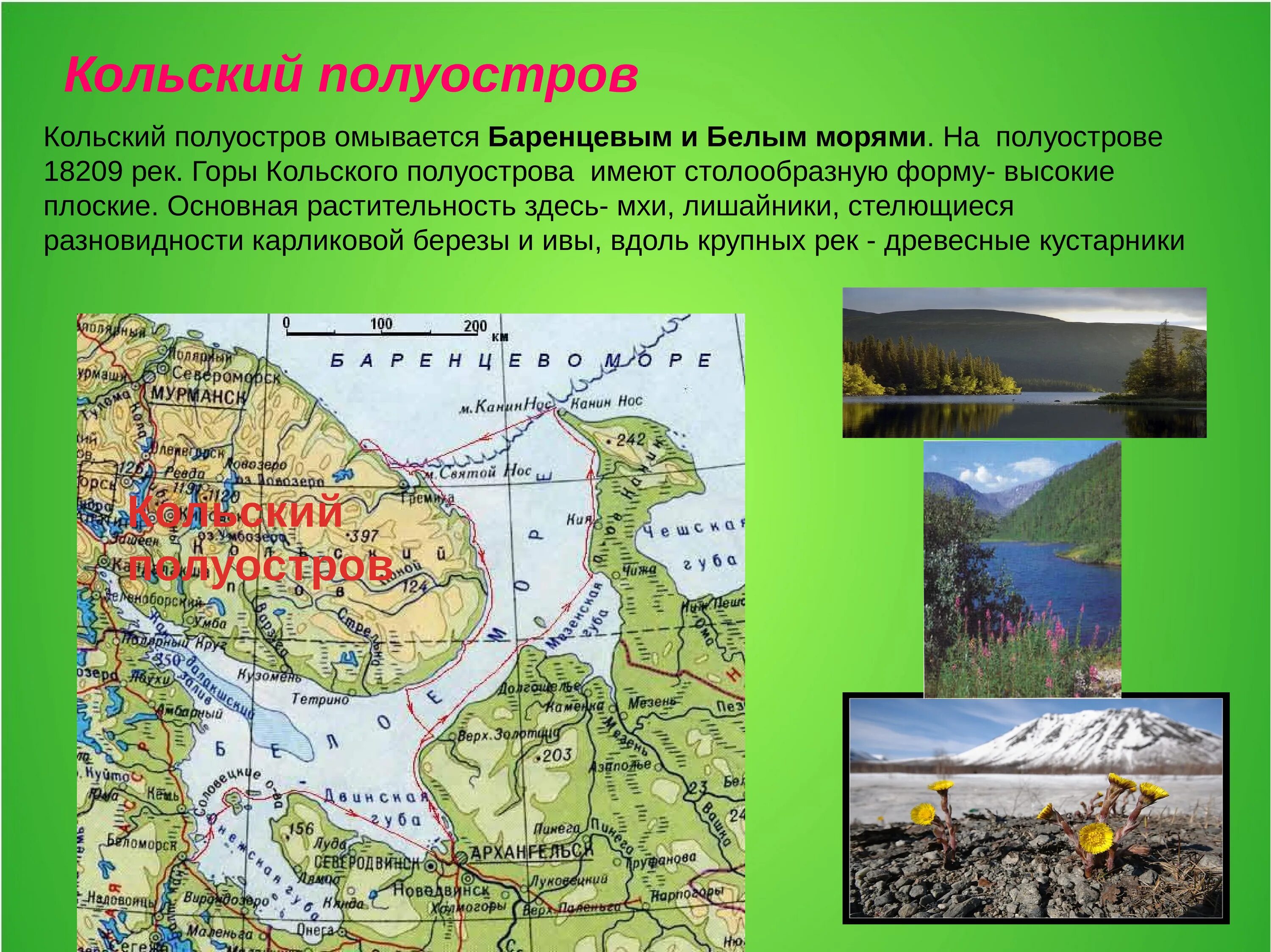 Примеры полуостровов в россии. Расположение Кольского полуострова на карте. Колымский полуостров на карте. Кольский полуостров на карте России. Кольский полуостров на карте.