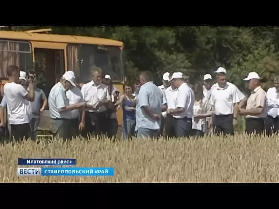 Ипатовский метод уборки урожая. Ипатовский метод уборки урожая в сельском хозяйстве. ипатовский метод уборки урожая википедия.