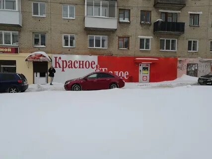 Бел березники