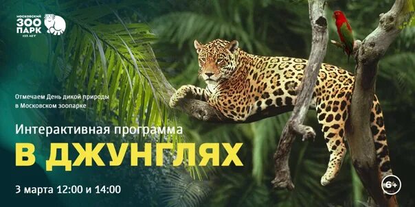 Интерактивный зоопарк Волгодонск. Интерактивный зоопарк NIFREL В Осаке. Московский зоопарк купить билеты со скидкой