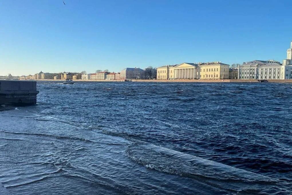 На реке неве на воде. Река Нева в Санкт-Петербурге. Река Смоленка набережная в Санкт-Петербурге. Питер Нева наводнение 12 ноября. Набережная реки Нева Санкт-Петербург.