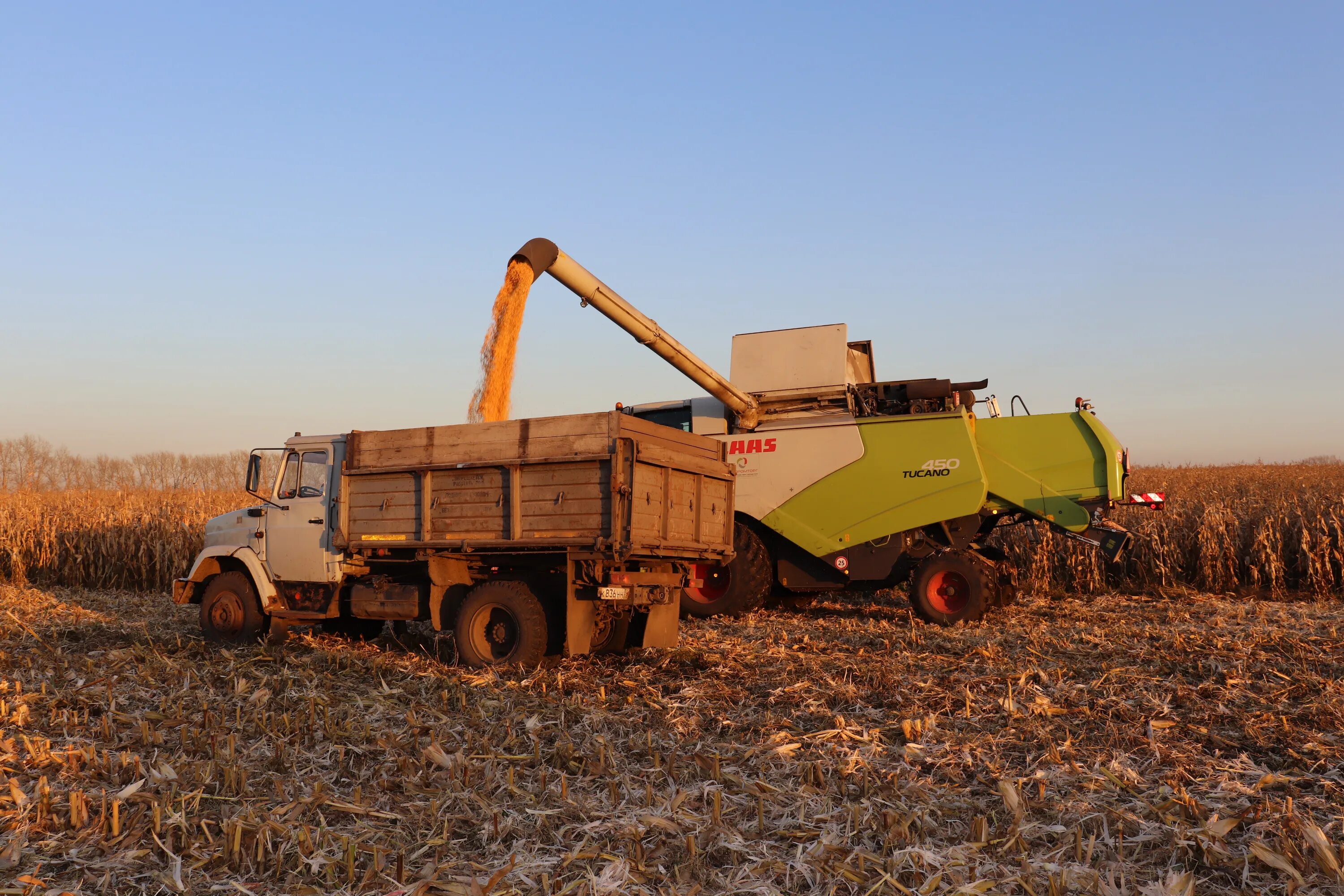 аграрий. кичкасс переволоцкий район. брюховецкий район краснодарский край. агрокараван. логистика пшеницы.