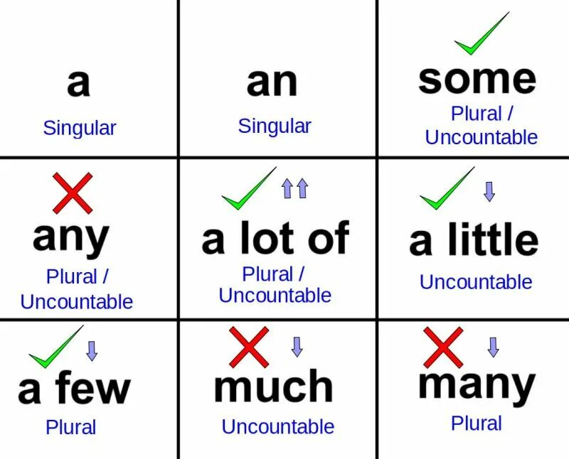 Правила some any no much many a lot of. Some any much many a lot of правило. Much, many, little, few, some, any правило. Some any much many a lot of a few a little правила. Quite a few