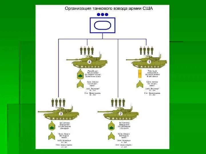 Сколько танков входит. Состав танкового взвода США. Структура танкового взвода США. Структура танкового батальона армии США.