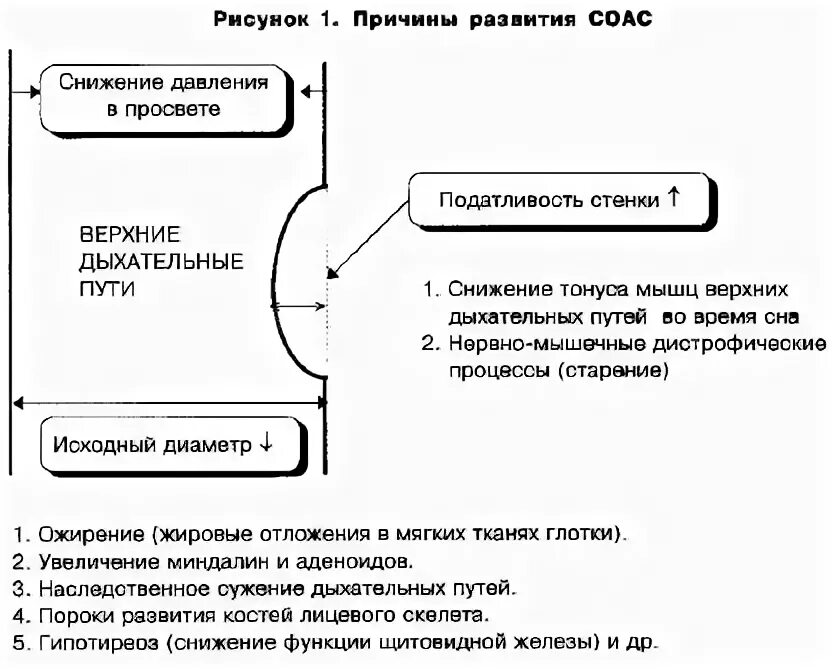 Почему ночью поднимается давление во время сна. Давление во время сна. Податливость легких норма. Мышечный тонус во время сна. Нормальное давление во время сна.