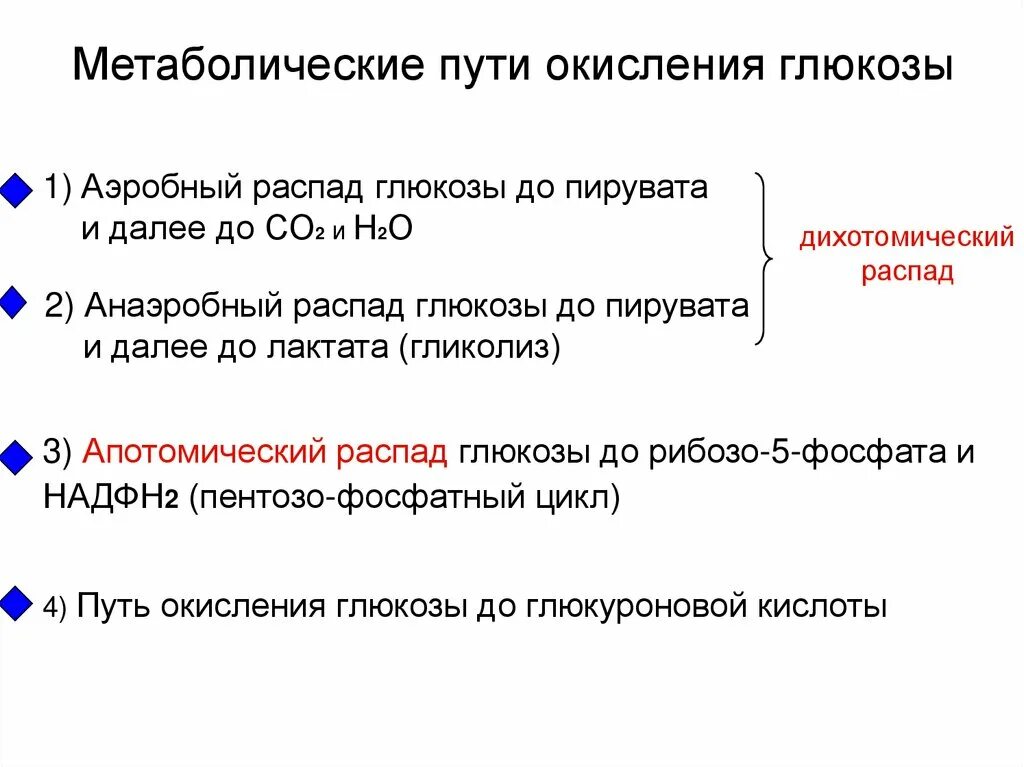 Пути окисления Глюкозы. Апотомический путь окисления Глюкозы. Взаимосвязь путей окисления Глюкозы. Апотомическое окисление Глюкозы. 3 этап окисления глюкозы