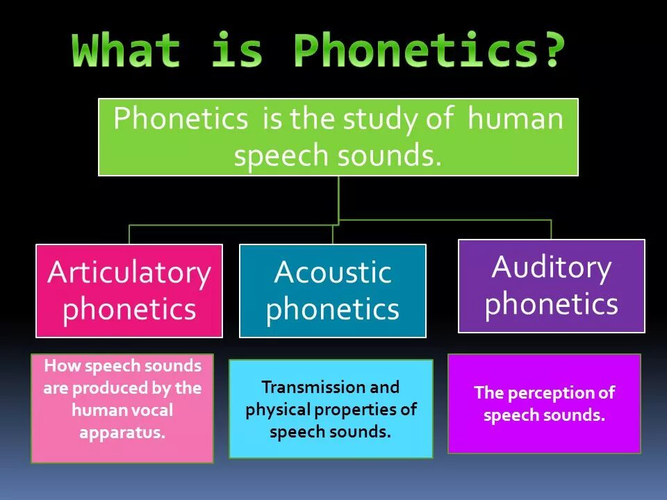 And what is. Phonetics презентация. What is the Phonetic. What is Linguistic презентация. Phonetics studies.