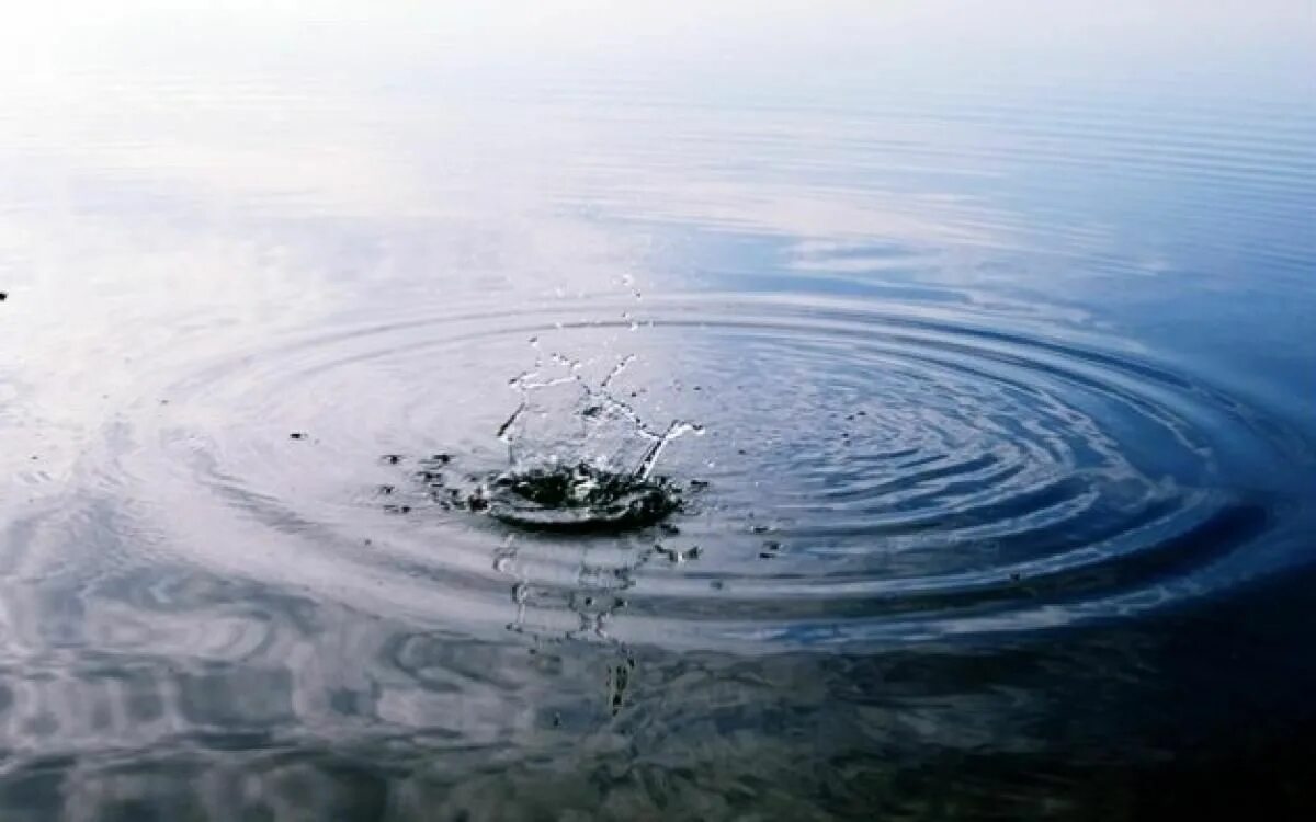 В воде происходят резкие. Круги на воде. Камень брошенный в воду. Круги на воде от камня. Круги на воде от брошенного камня.