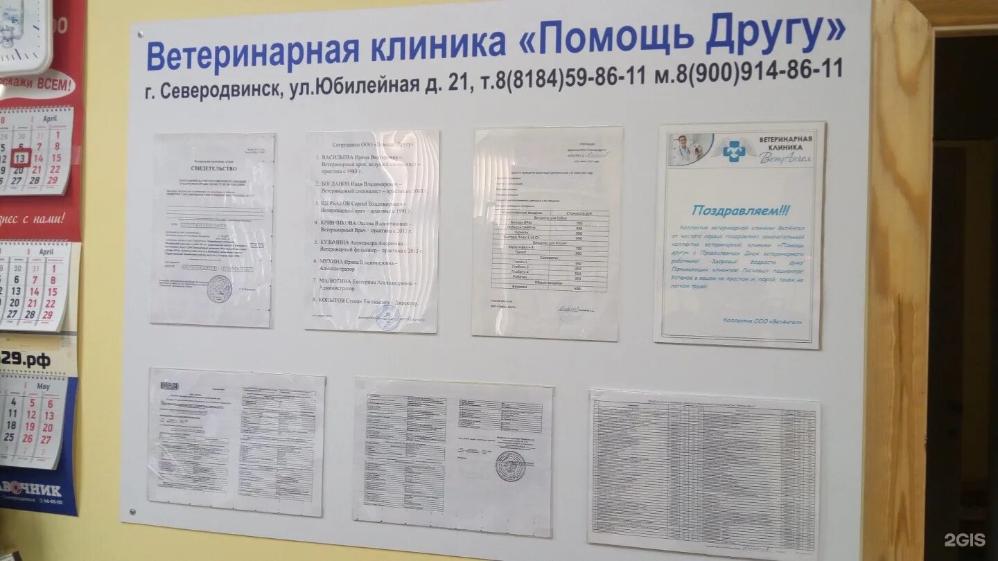 Ветклиника северодвинск. Помощь другу северодвинск ветеринарная. Ветклиника северодвинск. Значок ветеринарии. Северодвинск ветклиника на беломорской.