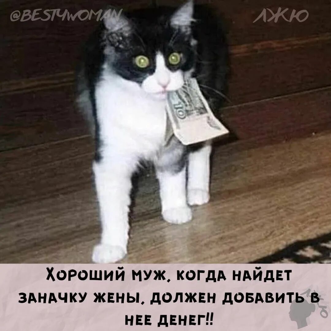 Тебя не хватает чуть чуть