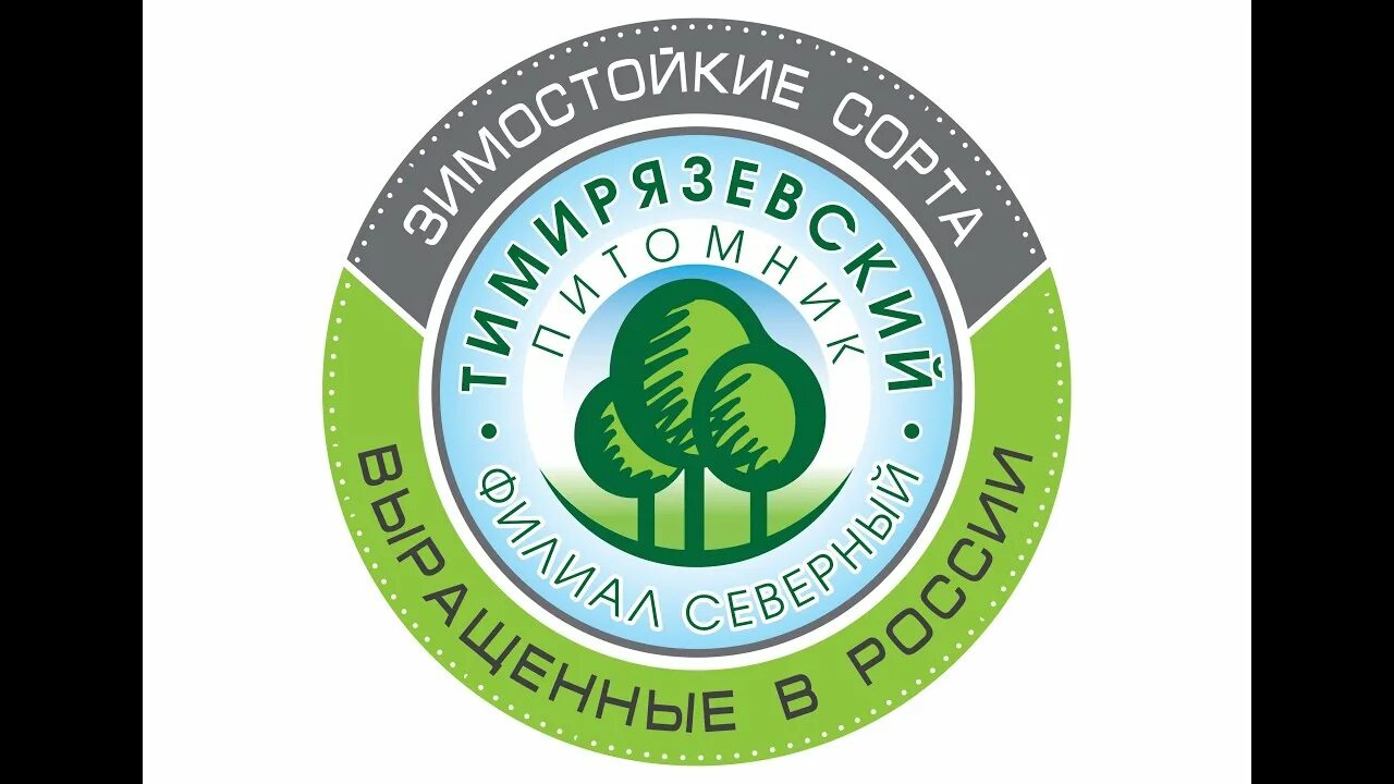 Сайт тимирязевского питомника калуга. Питомник тимирязевский калуга. тимирязевский питомник логотип. тимирязевский питомник филиал северный. тимирязевский питомник саженцы.