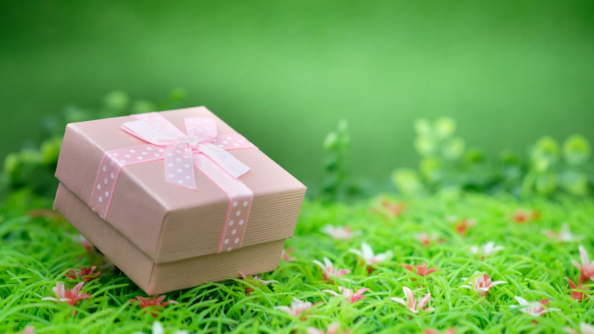 летние подарки. милый человечек. летняя коробочка. данбо. подарочная коробка на столе.