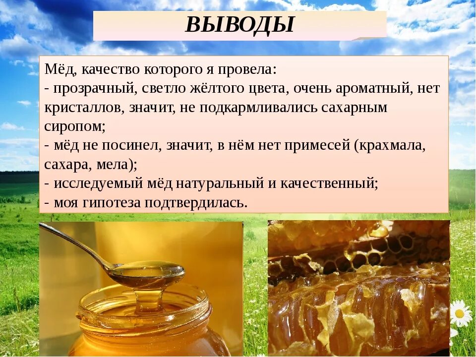 Кем можно работать после меда. Выводы о меде. мед презентация. качество меда. исследовательская работа качество меда.