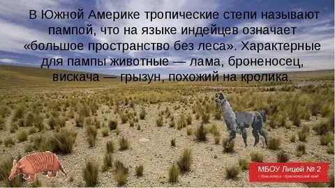 Степи америки называются