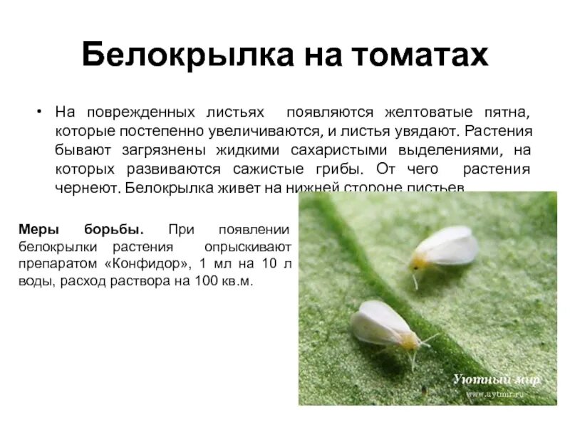 Защищает лист от повреждений