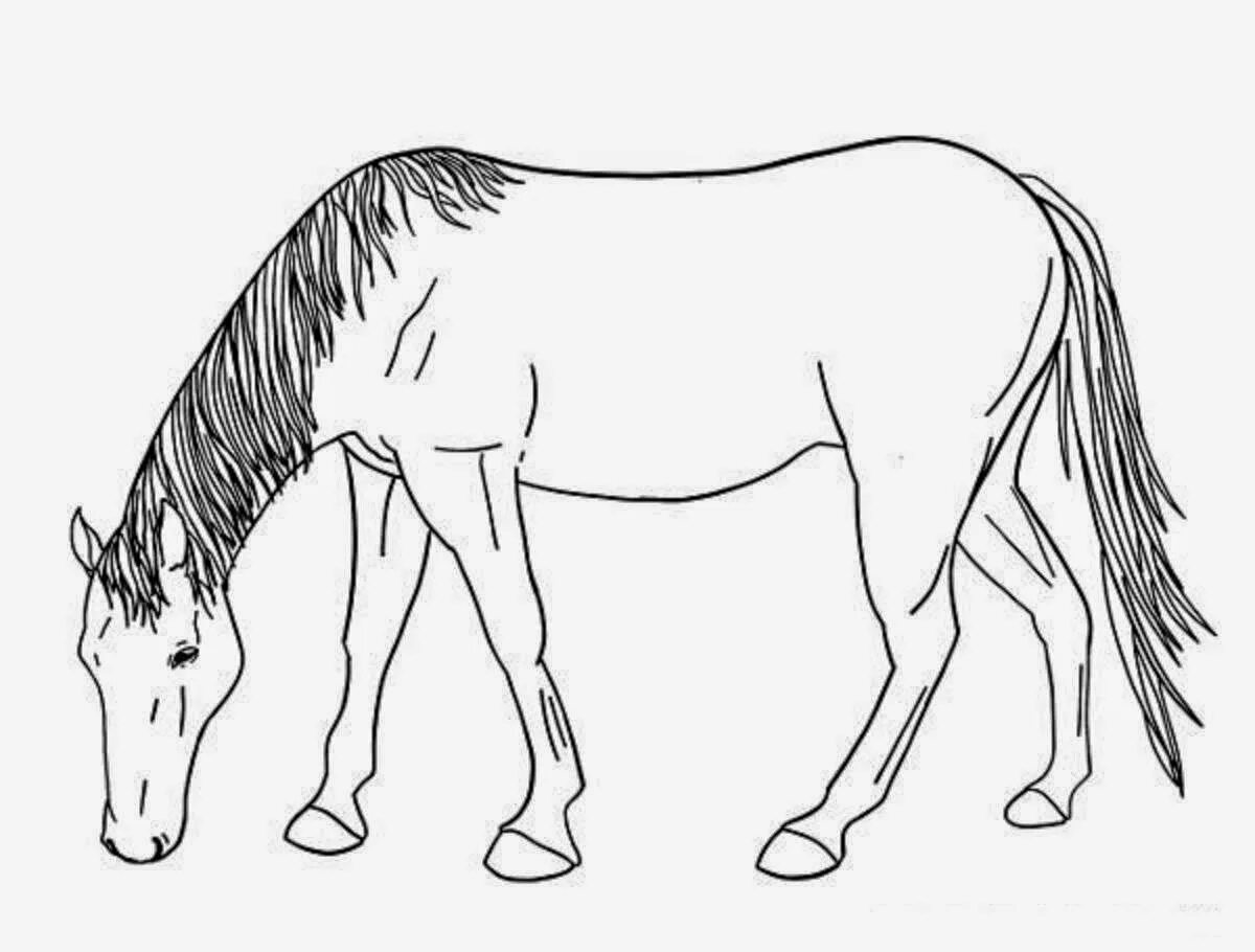 Лошадка для рисования. Лошадь рисунок. Лошадь рисунок карандашом. Лошадь для рисования детям. Рисунки лошадей для срисовк.