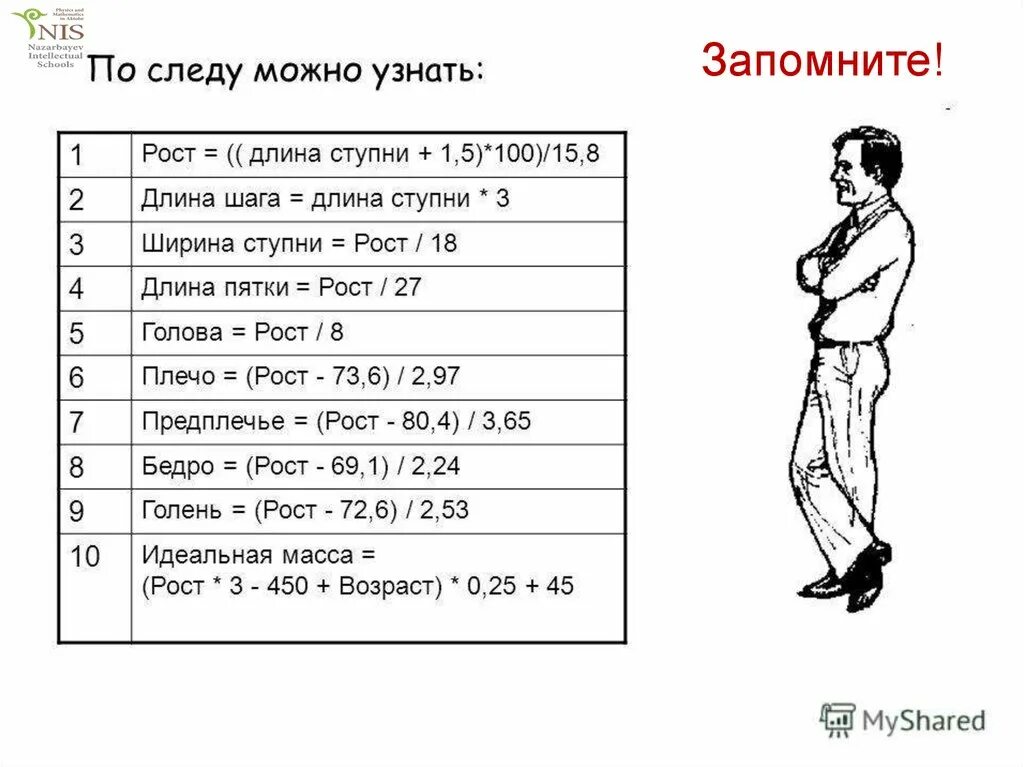 Как рассчитать длину шага при ходьбе. Средняя длина шага человека. Средний размер шага человека. Размер среднего шага взрослого человека.