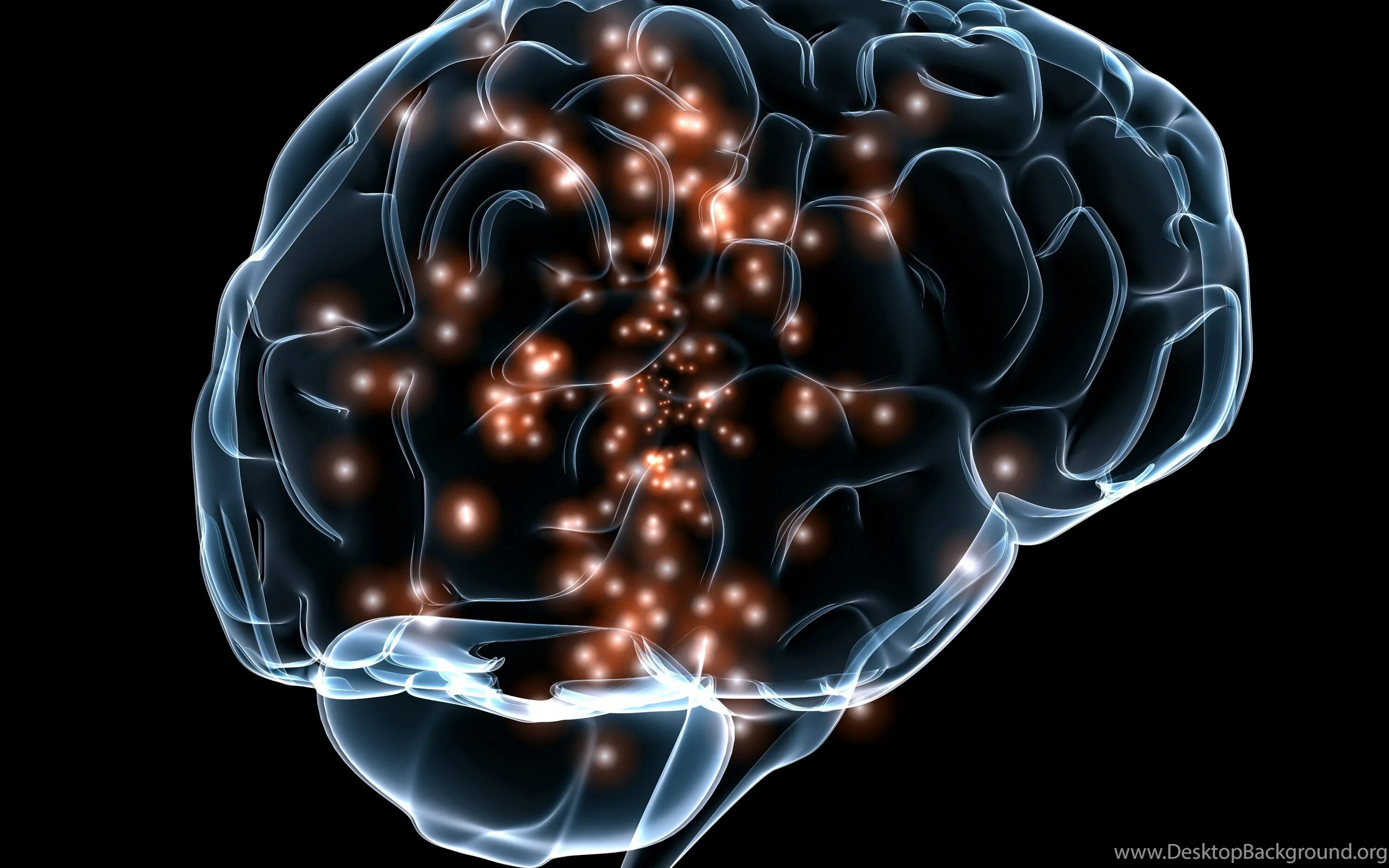Brain download. Нейро мозг. Вычислительная нейробиология. Нейронные связи головного мозга.
