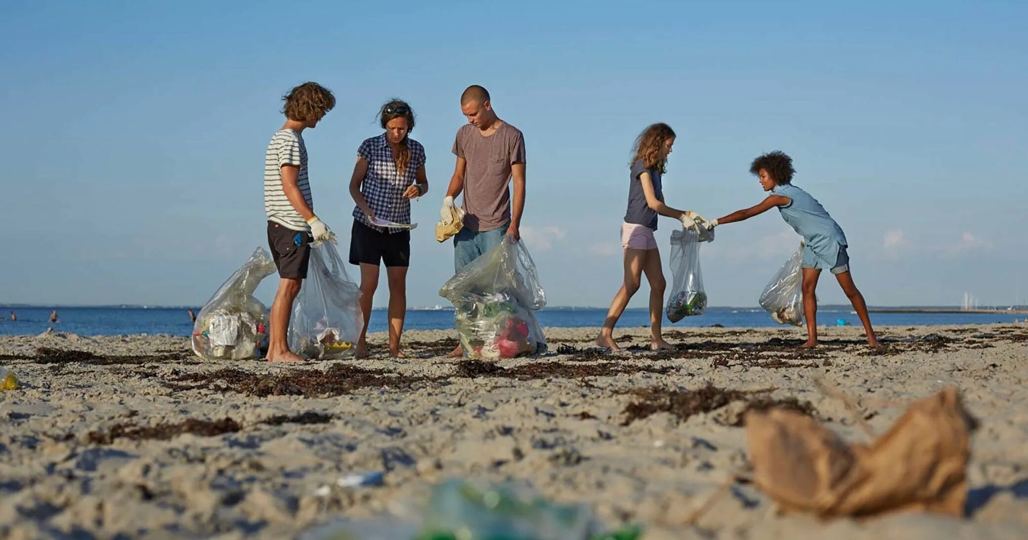 Beach clean. Clean Beach. People Cleaning the Beach. A Group of people on the Beach. The cleanest Beach.