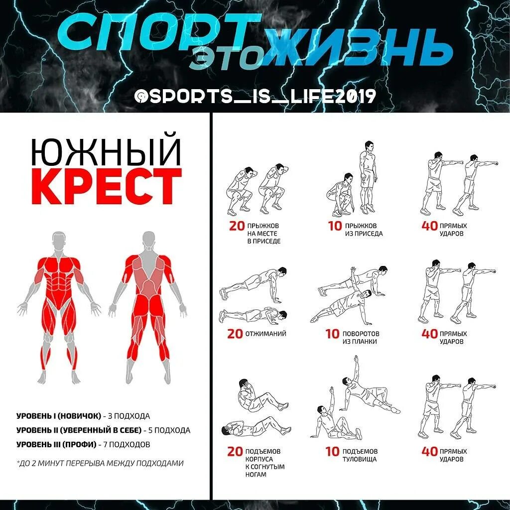Программа тренировок видео