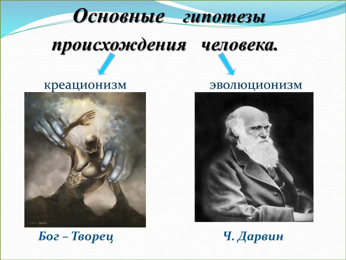 Главные гипотезы. Гипотезы происхождения человека. Современные гипотезы о происхождении человека. Все гипотезы происхождения человека. Запишите основные гипотезы происхождения человека..