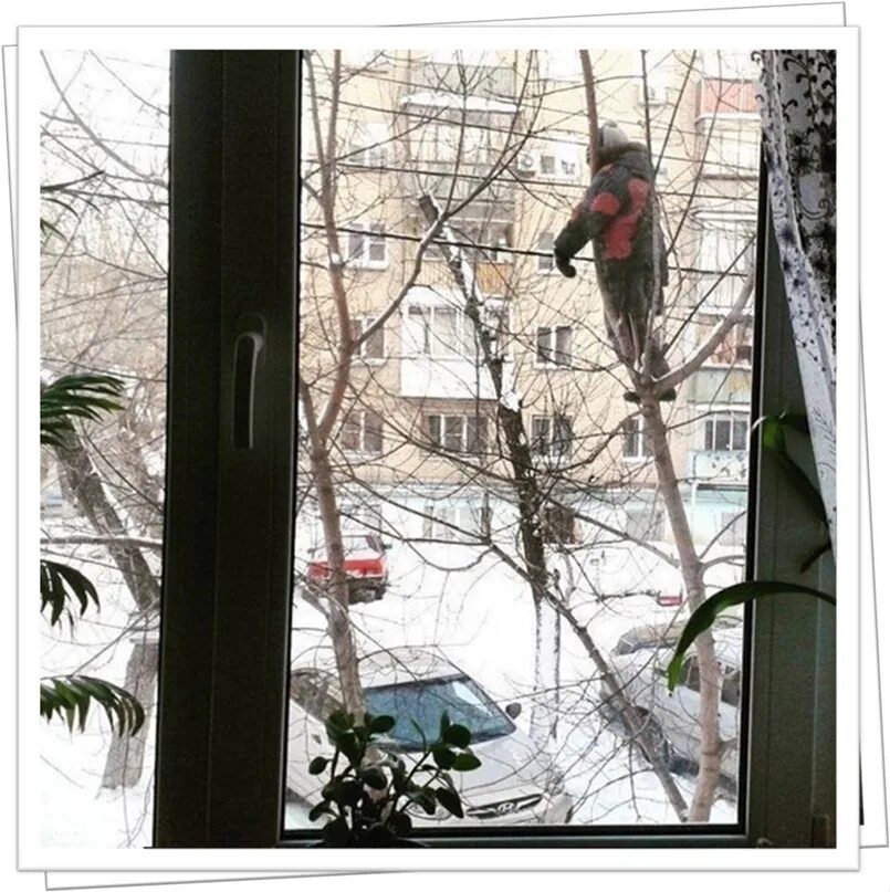 Видеть в окне бывшего