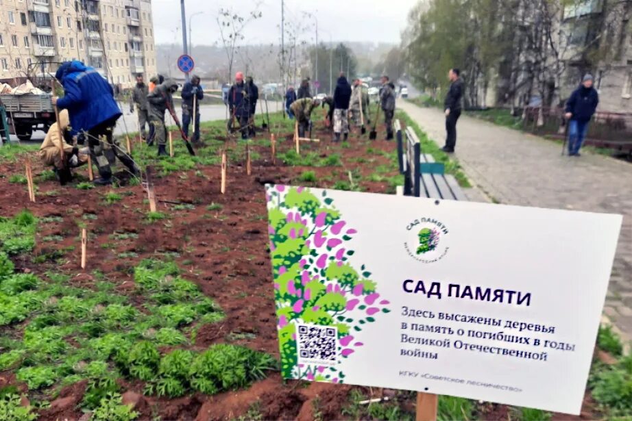 Посадка в мае 2025 года