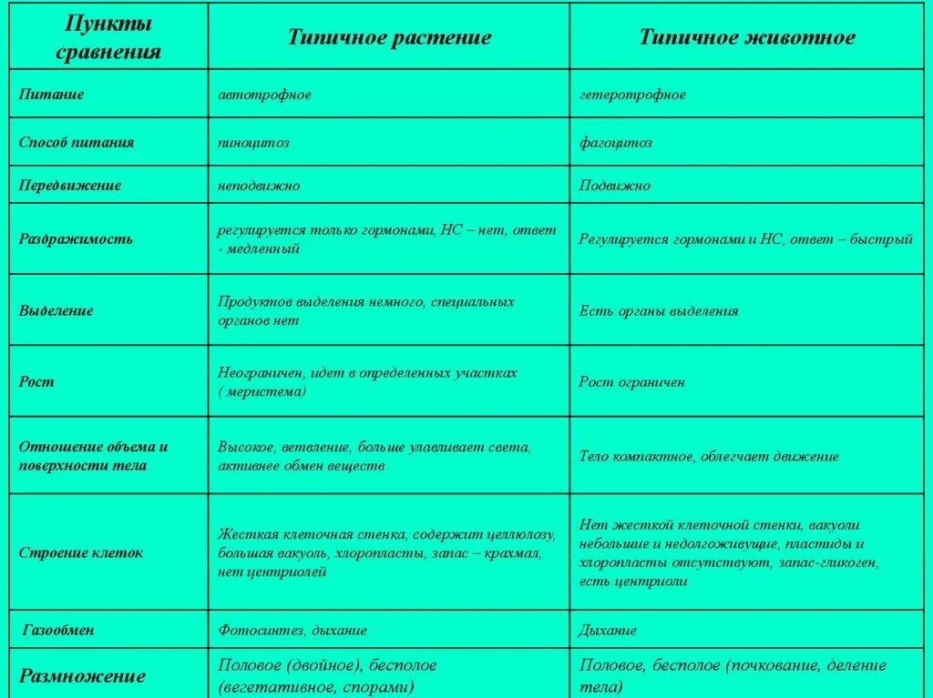 Сравнение царства животных и растений. Характеристика царства животных таблица. характеристика животных. характеристика царства животные таблица. характеристика представителей царства животные.